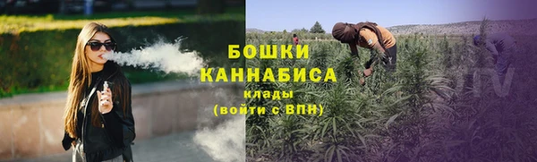 индика Белокуриха