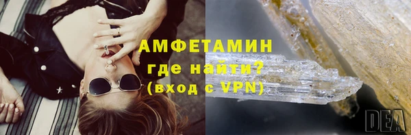 индика Белокуриха