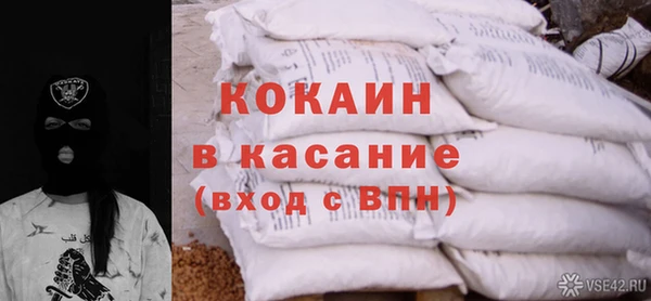 индика Белокуриха