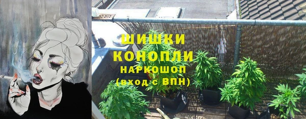 индика Белокуриха