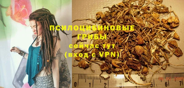 индика Белокуриха